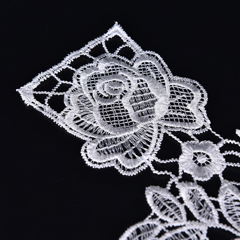 1X Embroidered Floral Lace Neckline Neck Collar Trim Clothes Sewing Patch DD