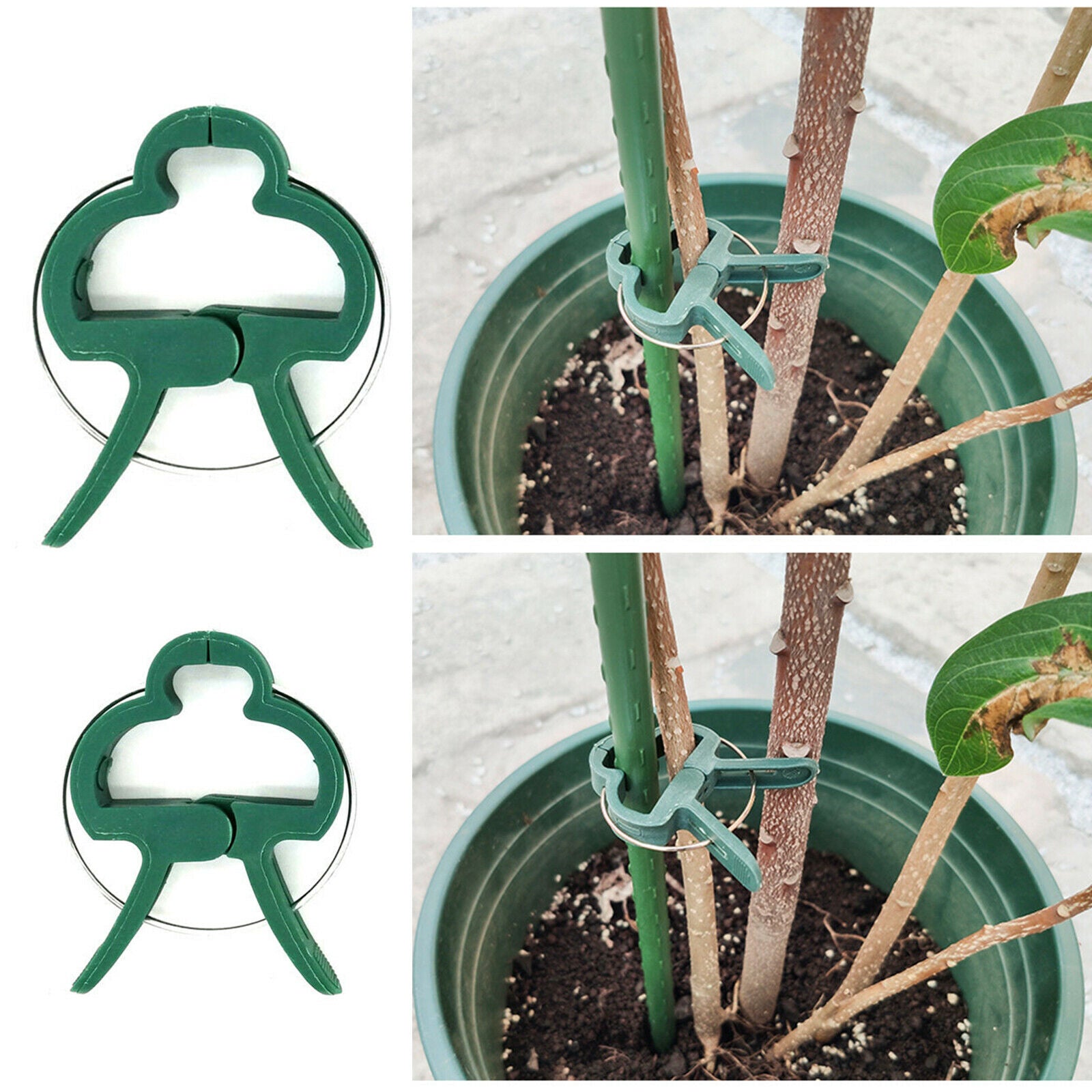 Flower Clamp Gardening Supplies Plant Clips Perfect Support Greenhouse Bracket