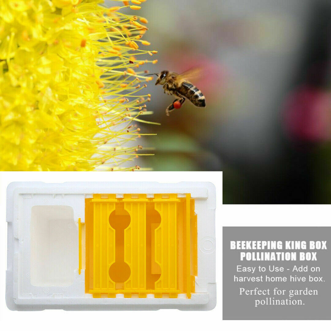 Bee Honey Beehive Foam Frames Beekeeping Kit Bee Hive King Pollination Boxes