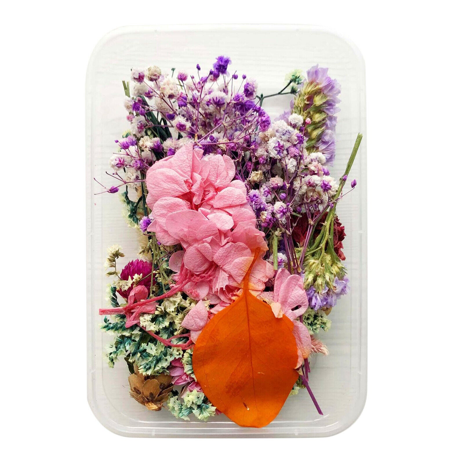 1Box â€‹â€‹Mixed Dried Flowers Leaves Jewelry Crafts DIY Phone Cover
