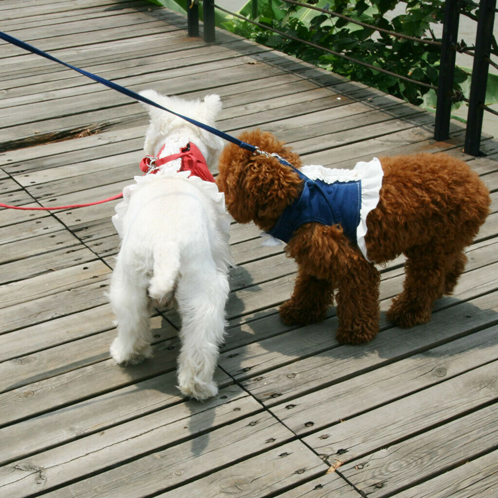 Pet Dog Harness Leash Pet Costume Clothes for Small Pet Cat Puppy Red-XS