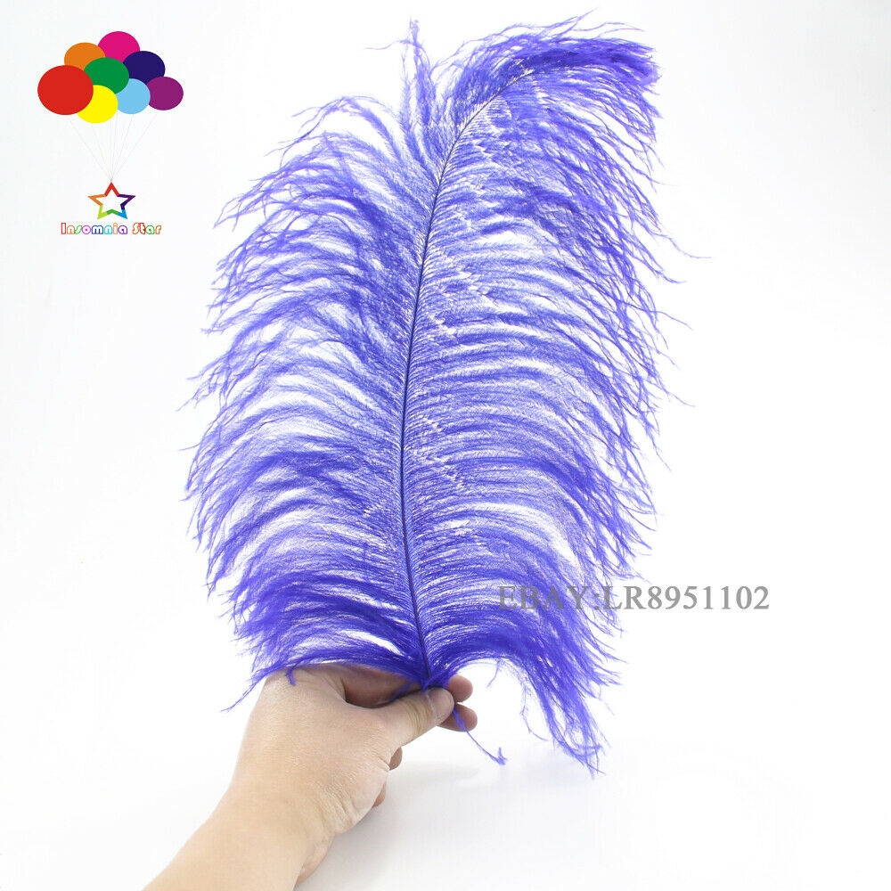 High Quality Royal Ostrich Feather 50 pcs 8-10Inch/20-25CM Home Decor Wedding