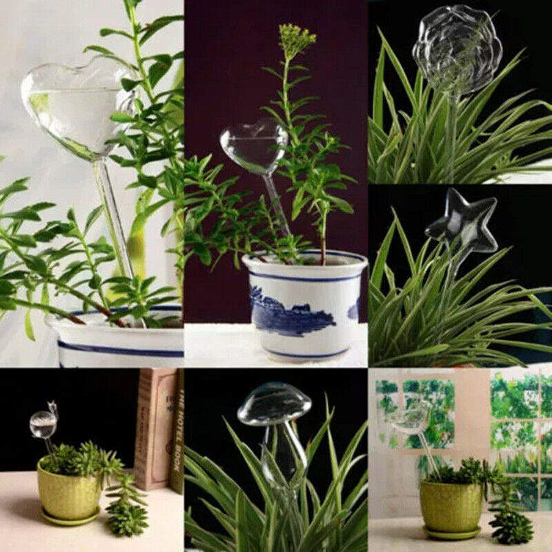 Water Houseplant Plant Pot Rose flower Automatic Watering Device Gardenin.l8
