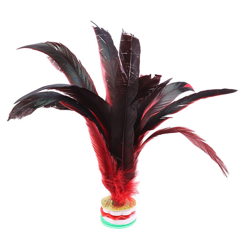2PCS China Jianzi Colorful Fancy Feather Shuttlecock for Fitness Entertai.l8