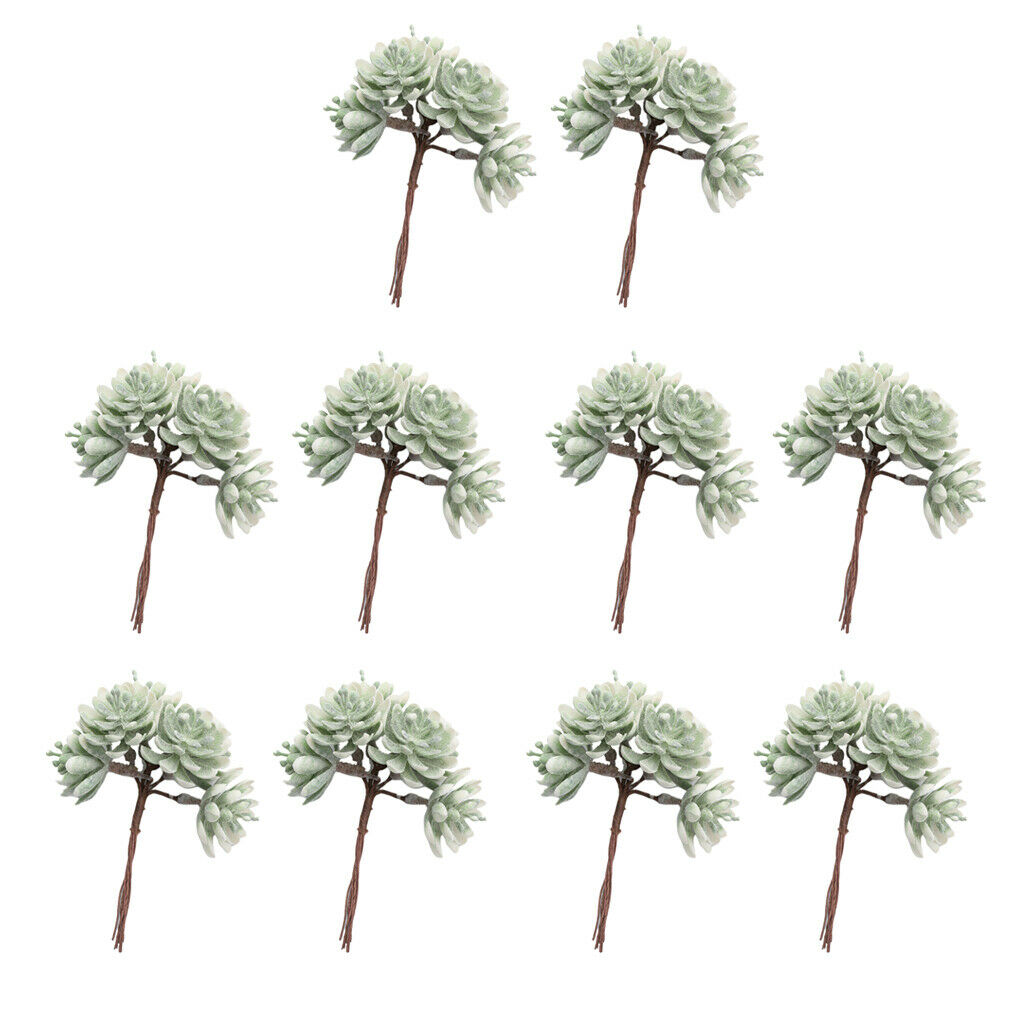 10pcs Pressed Dried Flowers Artificial Succulent Plants Wedding Party Decor