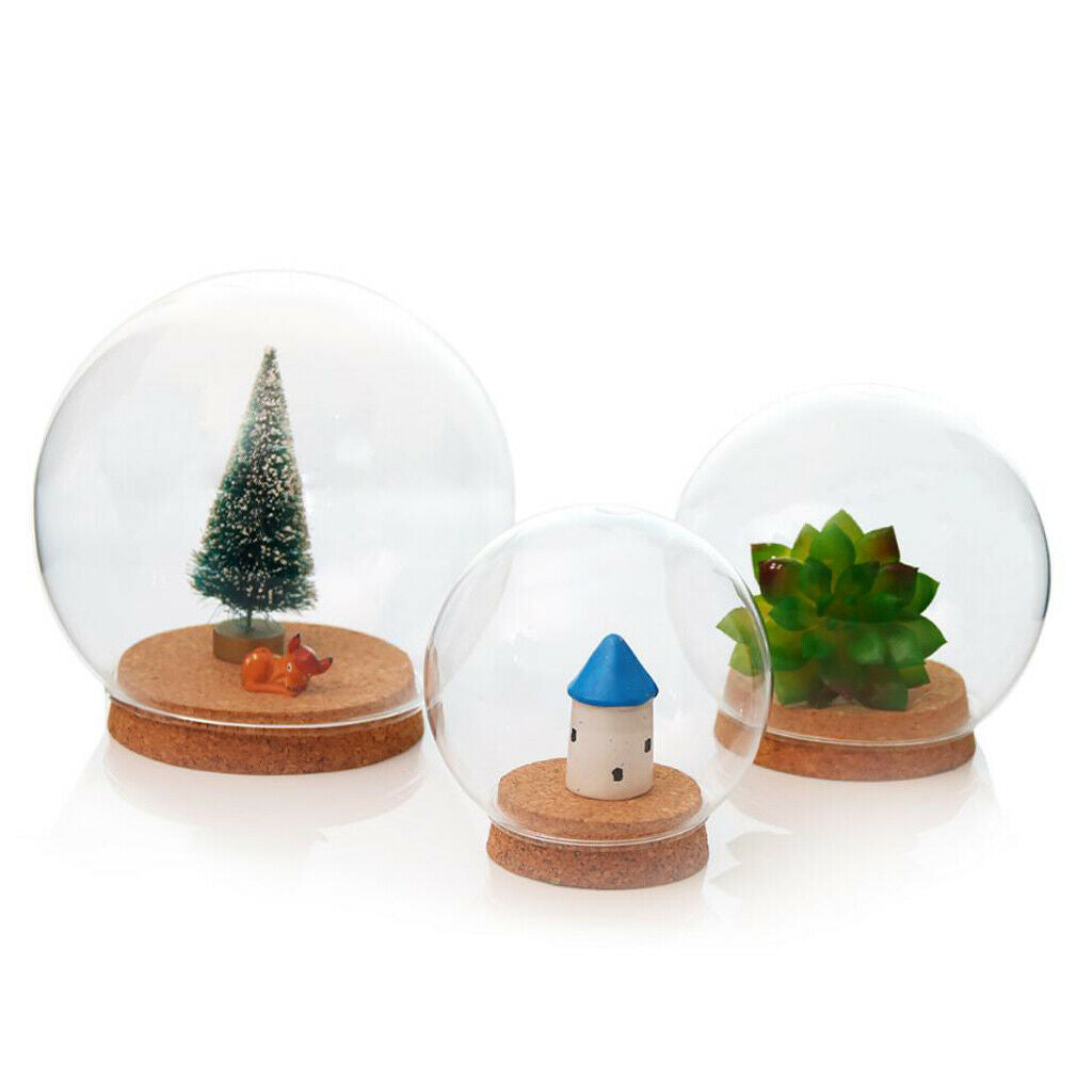 4Pack Glass Cleal Succulent Terrarium Bottle DIY Decoration Desktop Display