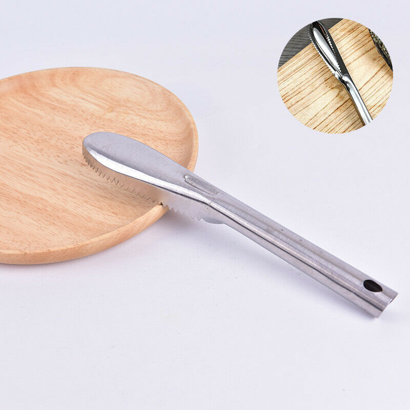 1PC Stainless Steel Fish Scale Remover Cleaner Scaler Scrapers & Kitchen .l8