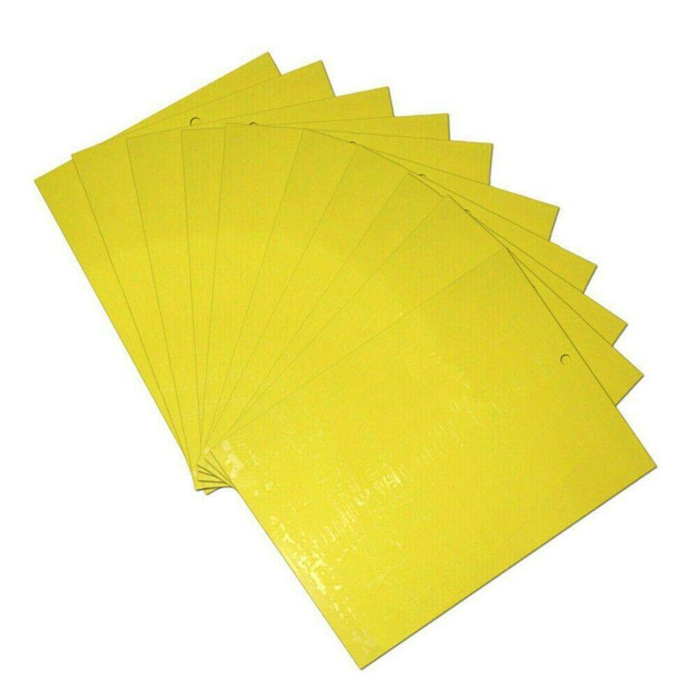 10x Sticky Fly Bug Wasp Insect - Poison Free Paper Traps Catchers Traps 10x15cm
