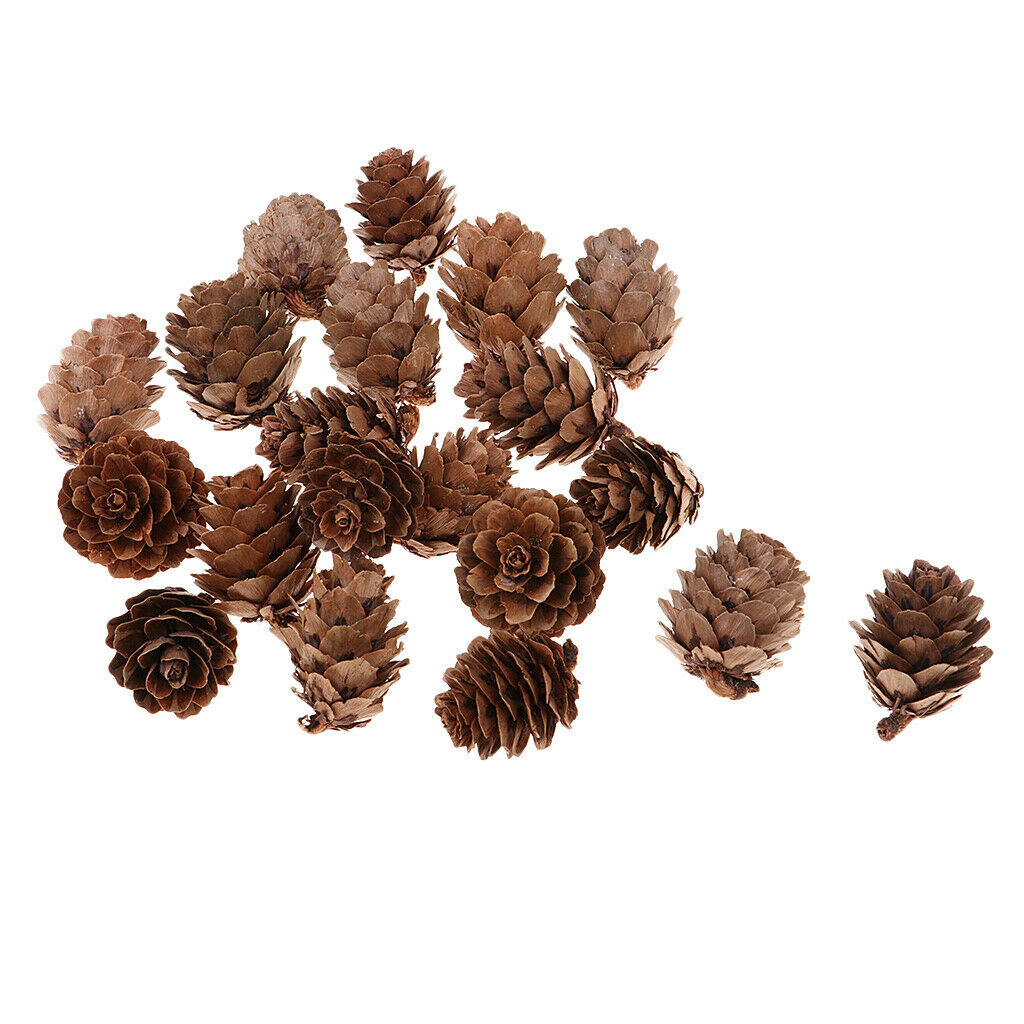 Best Ornaments For Festivals Pine Cones Logs Decor Craft
