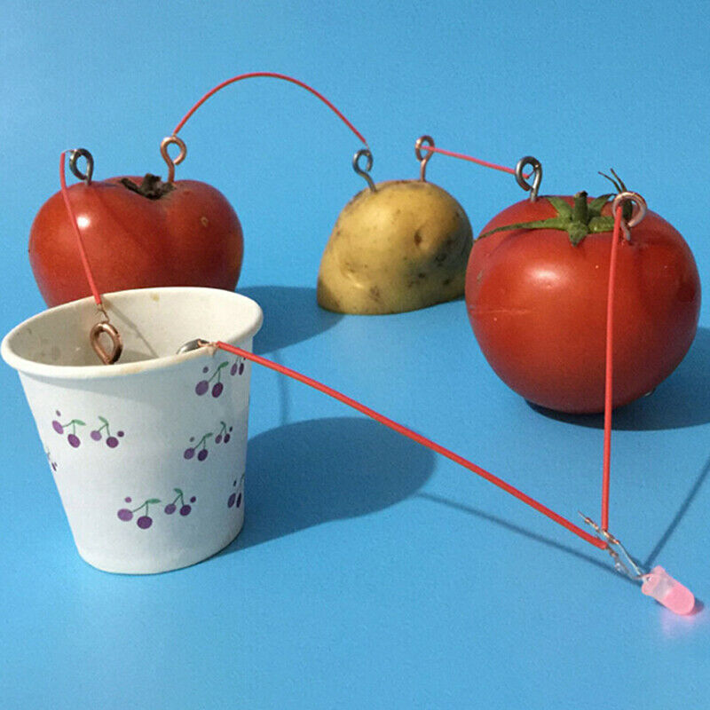 1 Set Children Bio Energy Science Kit Fruit Supply Electricity Experiments T.DD