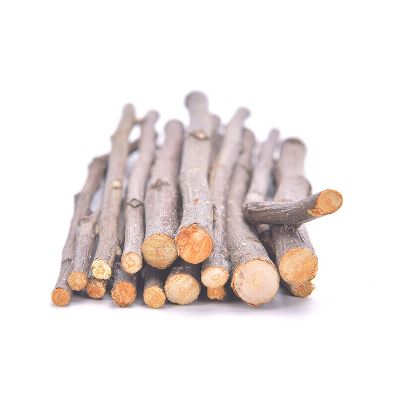 50g Professional Hamster Rabbit Teeth Grinding Tree Stick Molar Chew To.l8