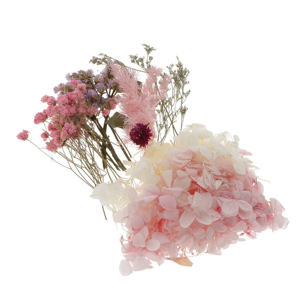 Natural Dried Flowers Leaves for Cards Making Jewelry Making Paper Art
