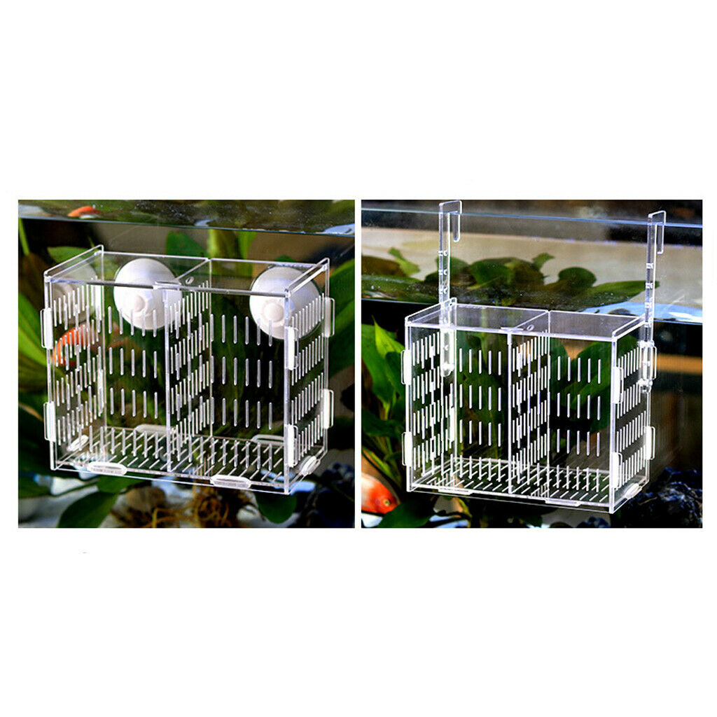 Aquarium Isolation Tank Young Fishes Rearing Box Tank with Suction Cup