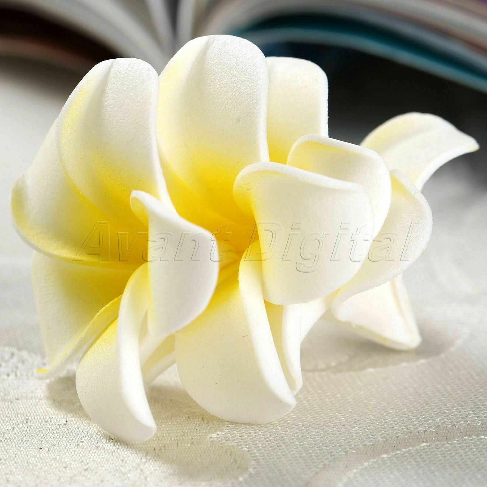 Mini Frangipani Flower Party Headwear Foam Plumeria Wedding Decoration Lovely