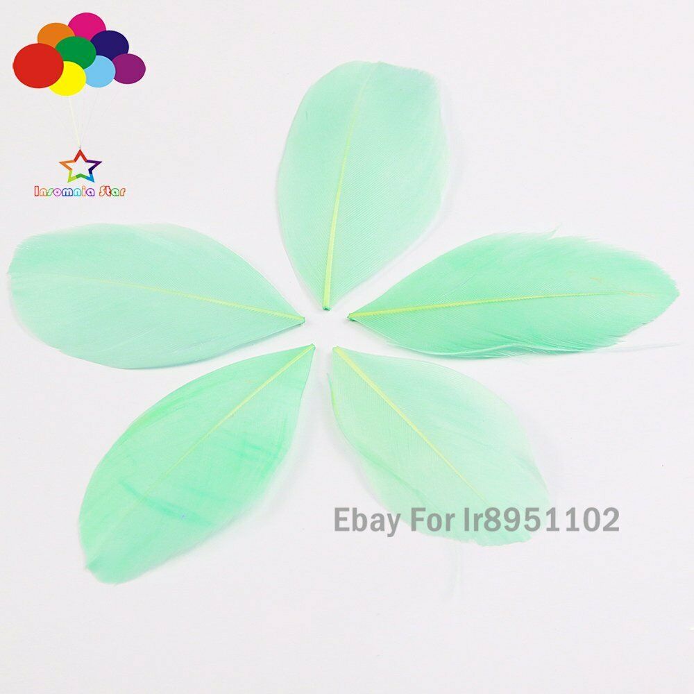 Mint DIY High Quality 100 pcs 5-7 cm Goose feather for Decor Accessories Craft