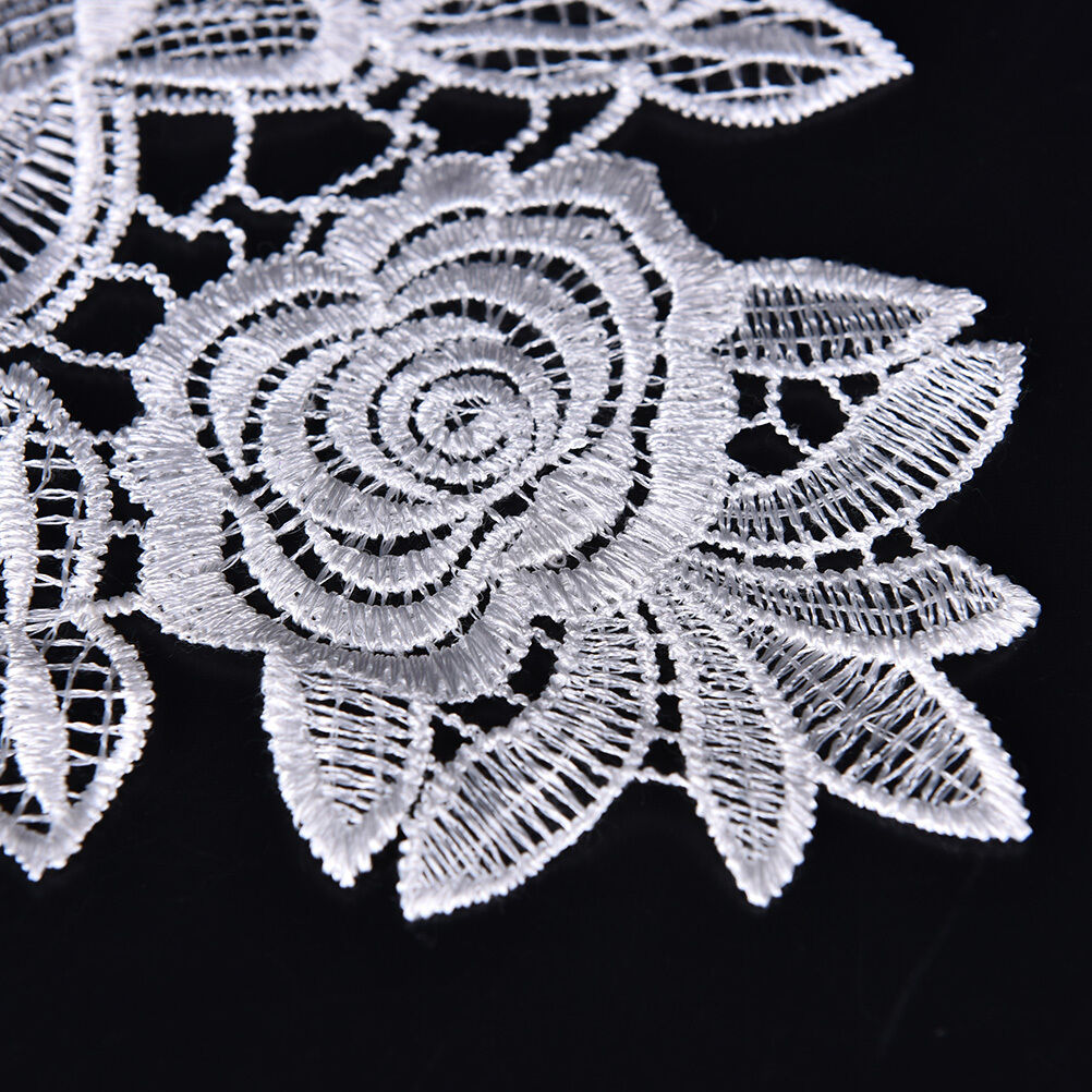1X Embroidered Floral Lace Neckline Neck Collar Trim Clothes Sewing Patch DD