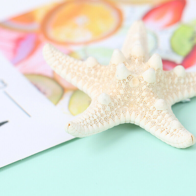 Fashion Lady Hair Clips Women Girls Starfish Sea Star Hairpins Beach Barr.l8