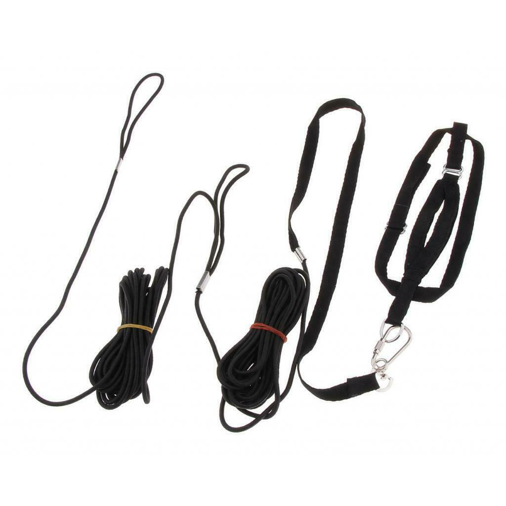 2x Bird Leash Parrots Traction Rope For Birds Macaws Finches Small Animals