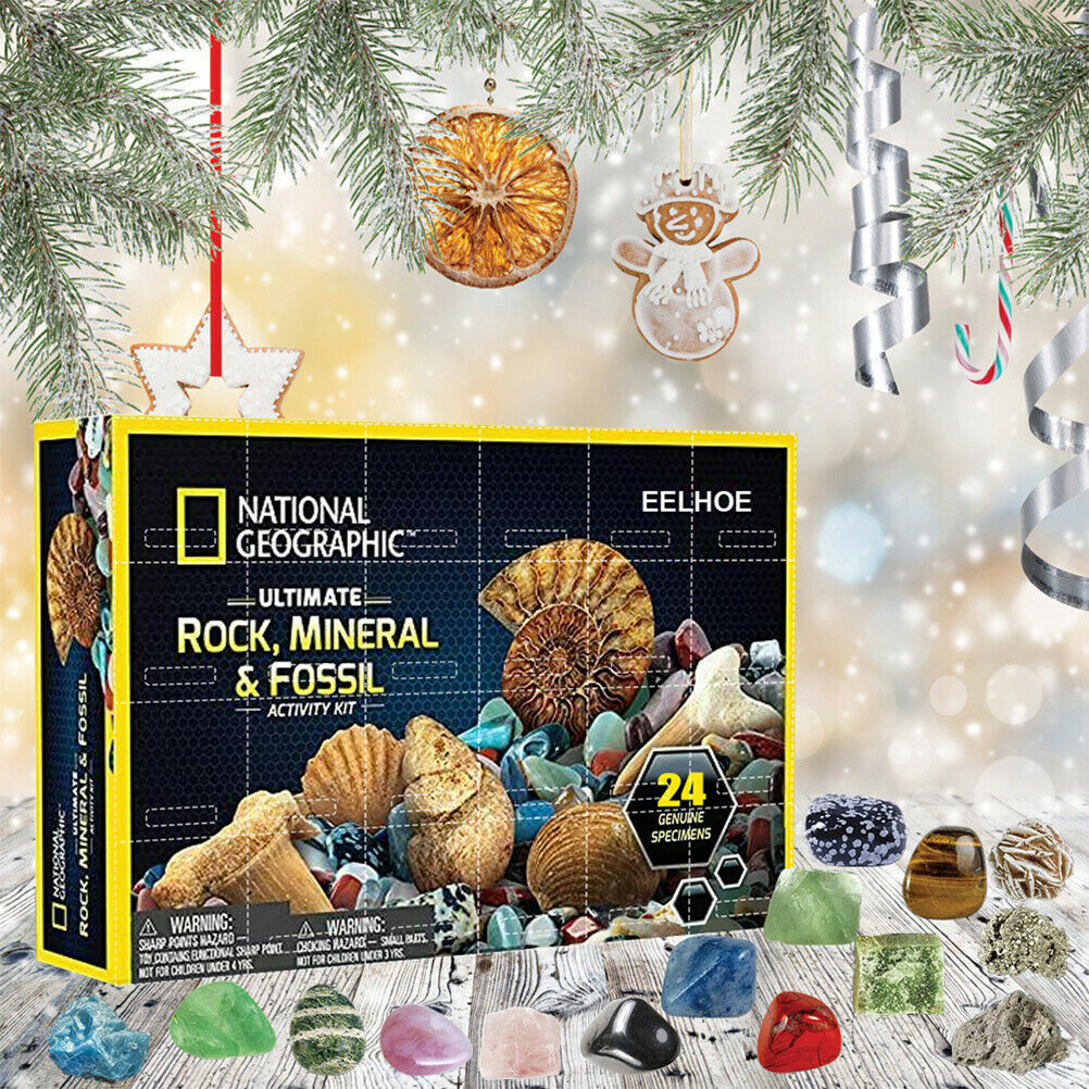 Christmas Advent Calendar Mineral Gift Box Funny Early Childhood Education Toys