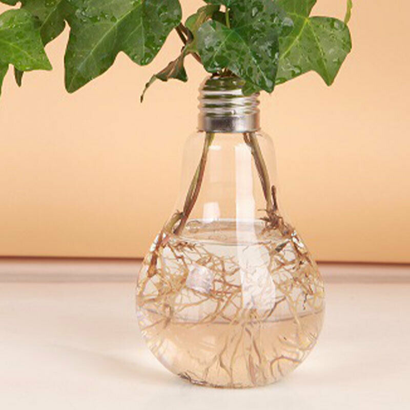 100ml Light Bulb Transparent Glass Vase Fashion Hydroponic Flower Vase Ho.l8