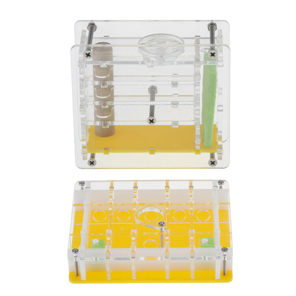 2pcs/set Ant Housing Nest Insect Cage Educational Formicarium for Live Ants