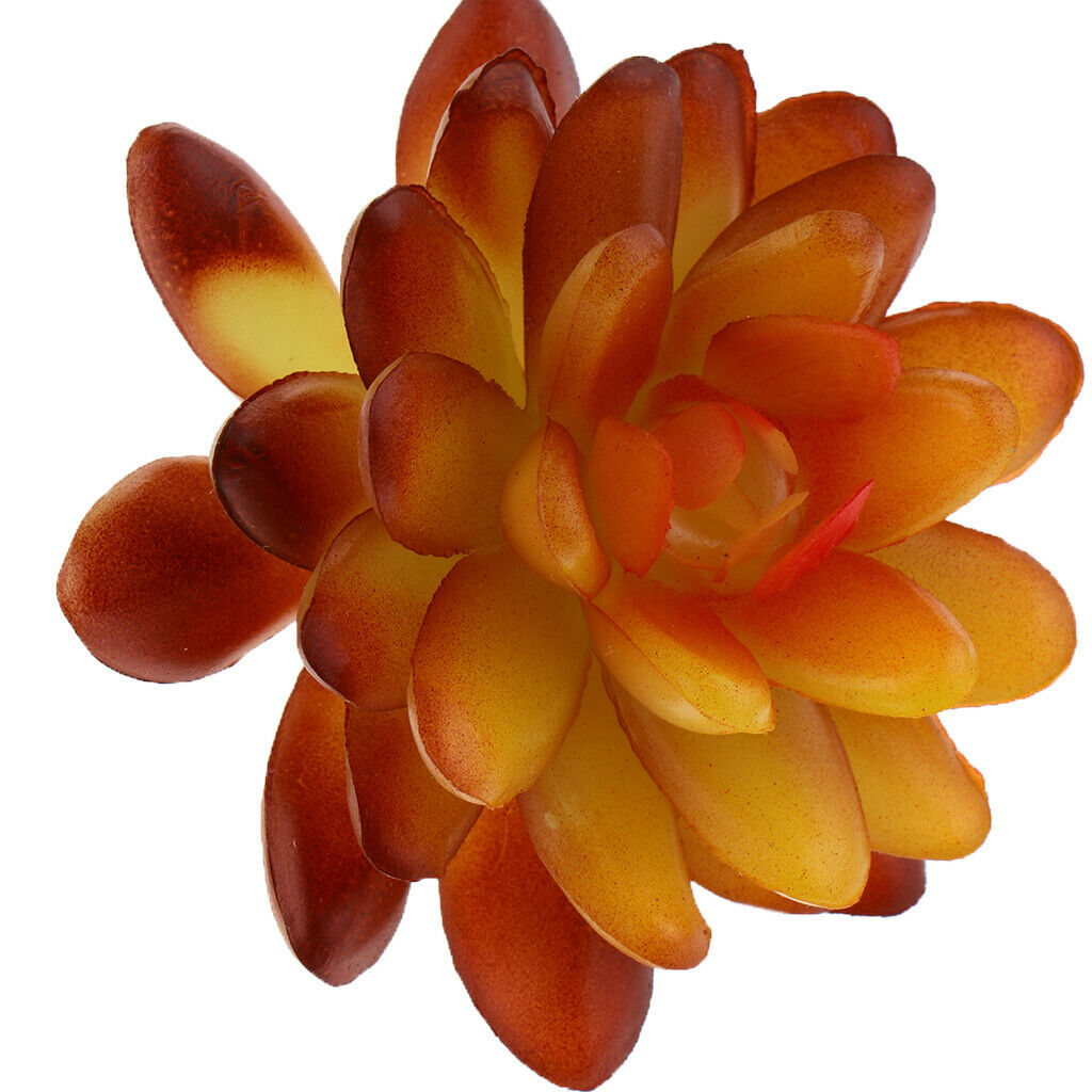 Artificial Plastic  Simulation Succulents Plants Flowers Vivid Echeveria Flower