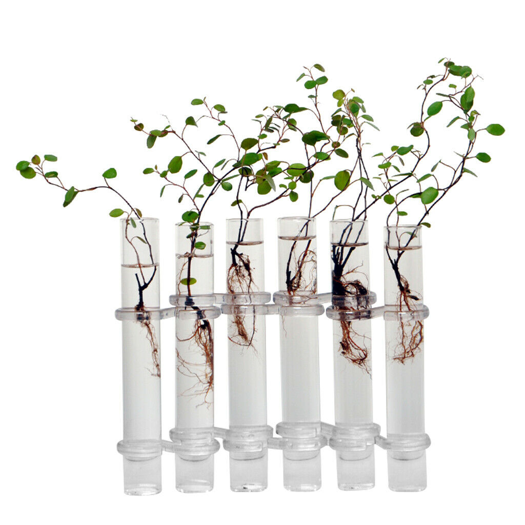 6x Glass Tubes Shape Hanging Hydroponic Flower Plant Vase Terrarium Container