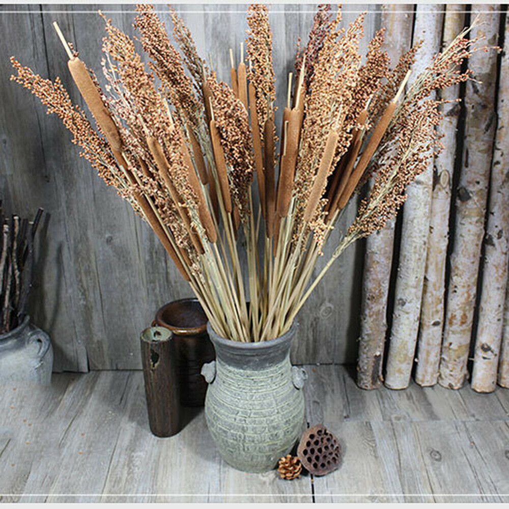 5Pcs Dried Flower Cattails Spike Po Stick Home Wedding Arrangement Floral Decor