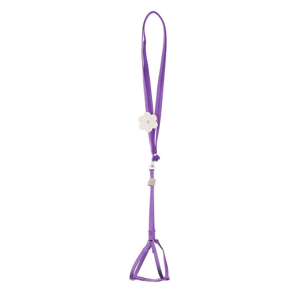 2 x Adjustable Harness Leash for Parrot African Grey Cockatoo Macaw Ringneck