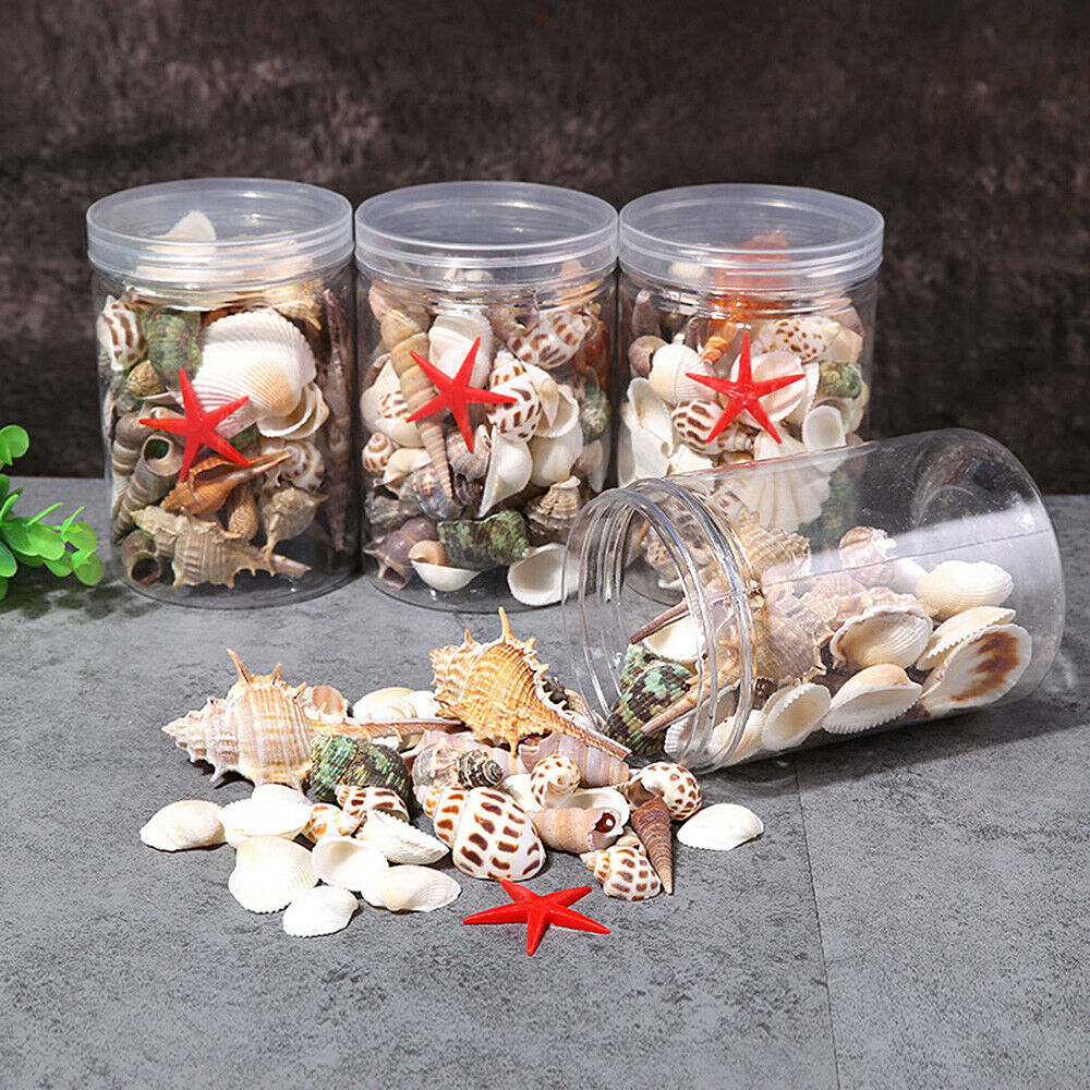 Natural Sea Shells Conch Fish Tank Aquarium Landscape Ornament Home Decor DIY