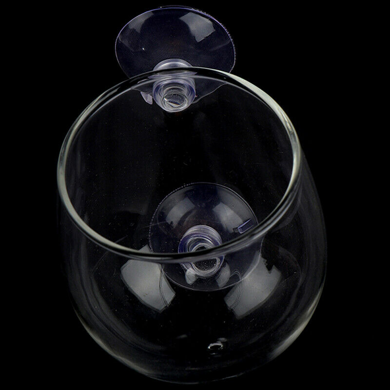 Fish Tank Mini Crystal Glass Pot Water Potted Aquatic Planting Cylinder C.l8