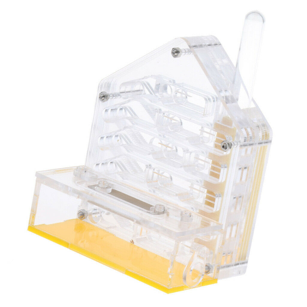 Safe & Reliable Ant Transparent 4x2x5 inch Feeding Box Formicarium