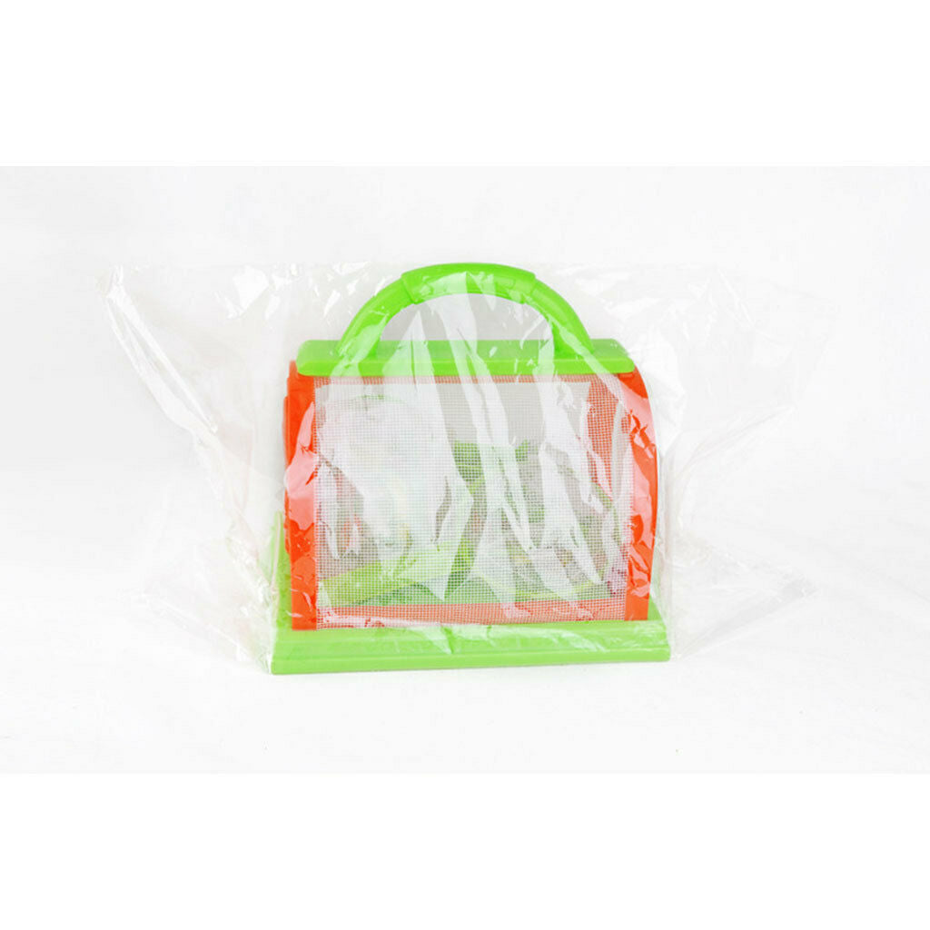 Insect Viewer with Magnifier Kit Camping Hiking Life Bug Collection for Kids