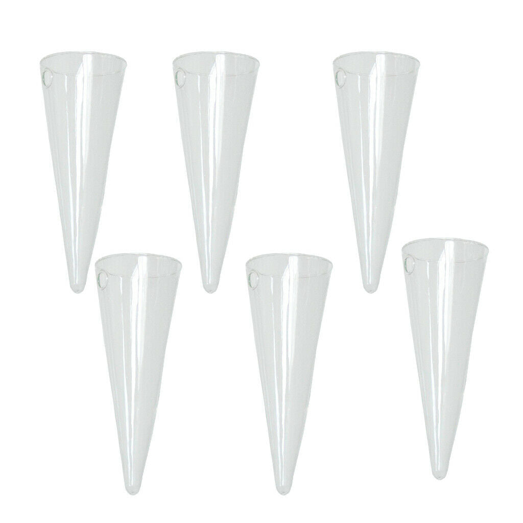 6 Pieces 16cm Glass Planter Conical Terrarium Office Living Room Decors