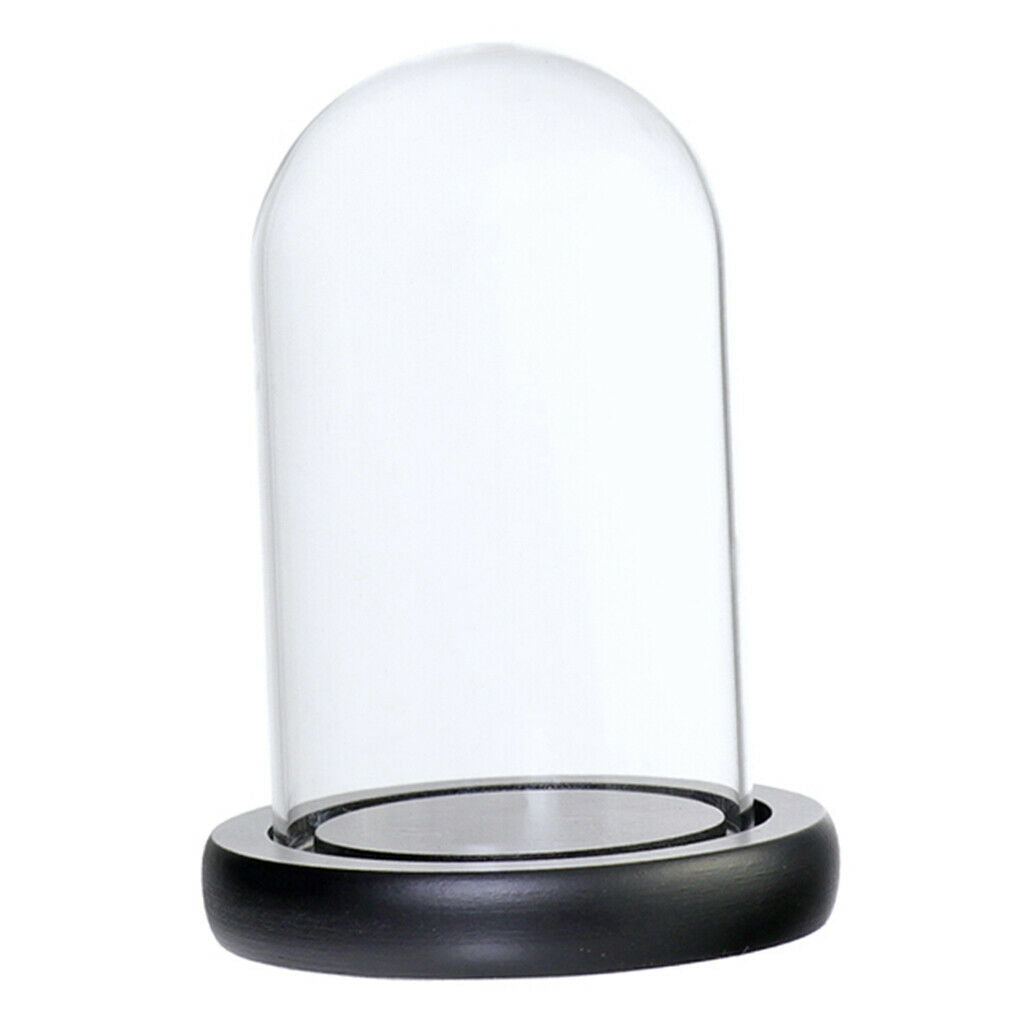 Clear Glass Cloche Dome Vase Terrarium for Office Garden Ornament Black