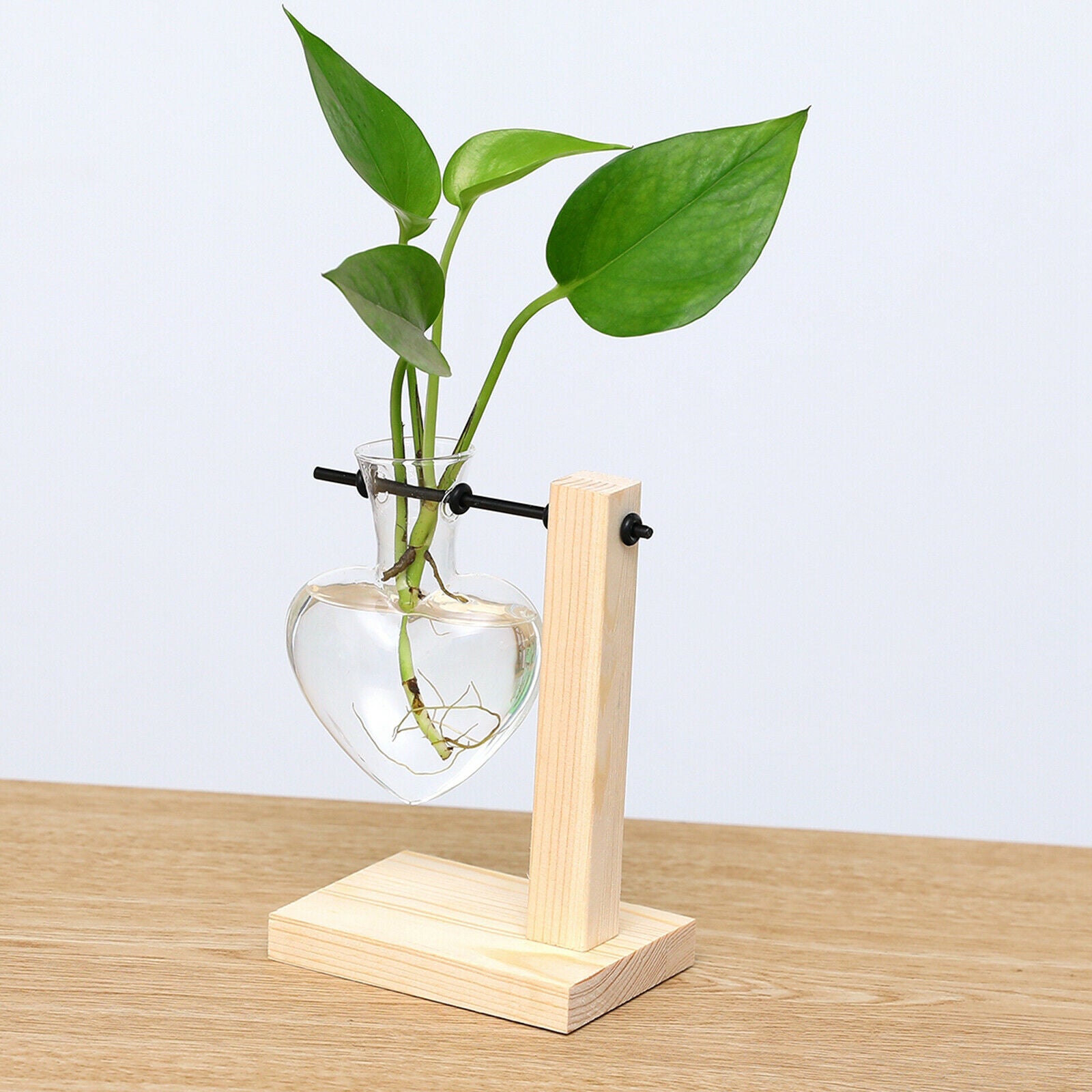 Glass Vase with Wooden Stand Frame for Hydroponics Plants Desktop