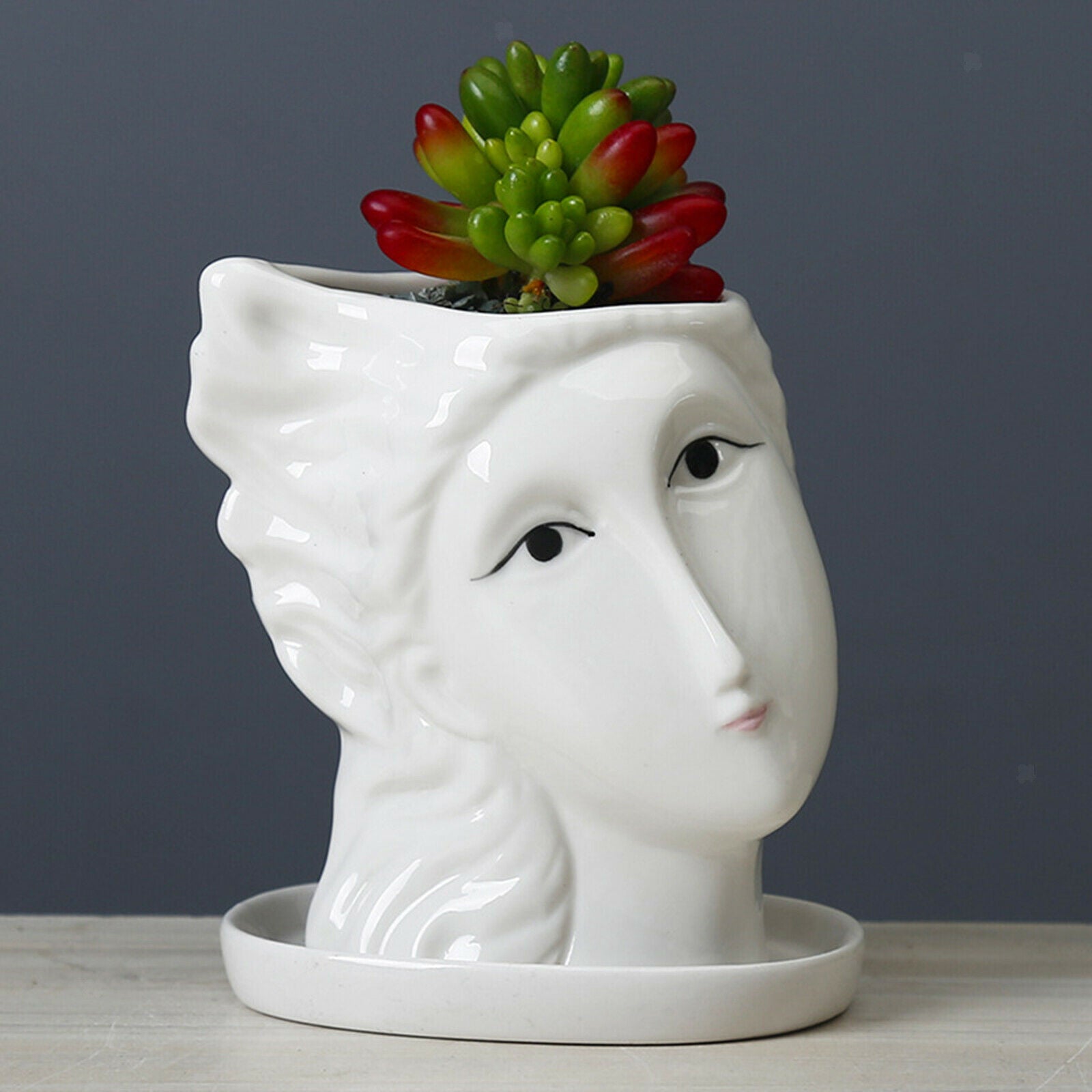 2X Portrait Face Head Vase Planter Garden Plant Pot Art Flowerpot Decoration