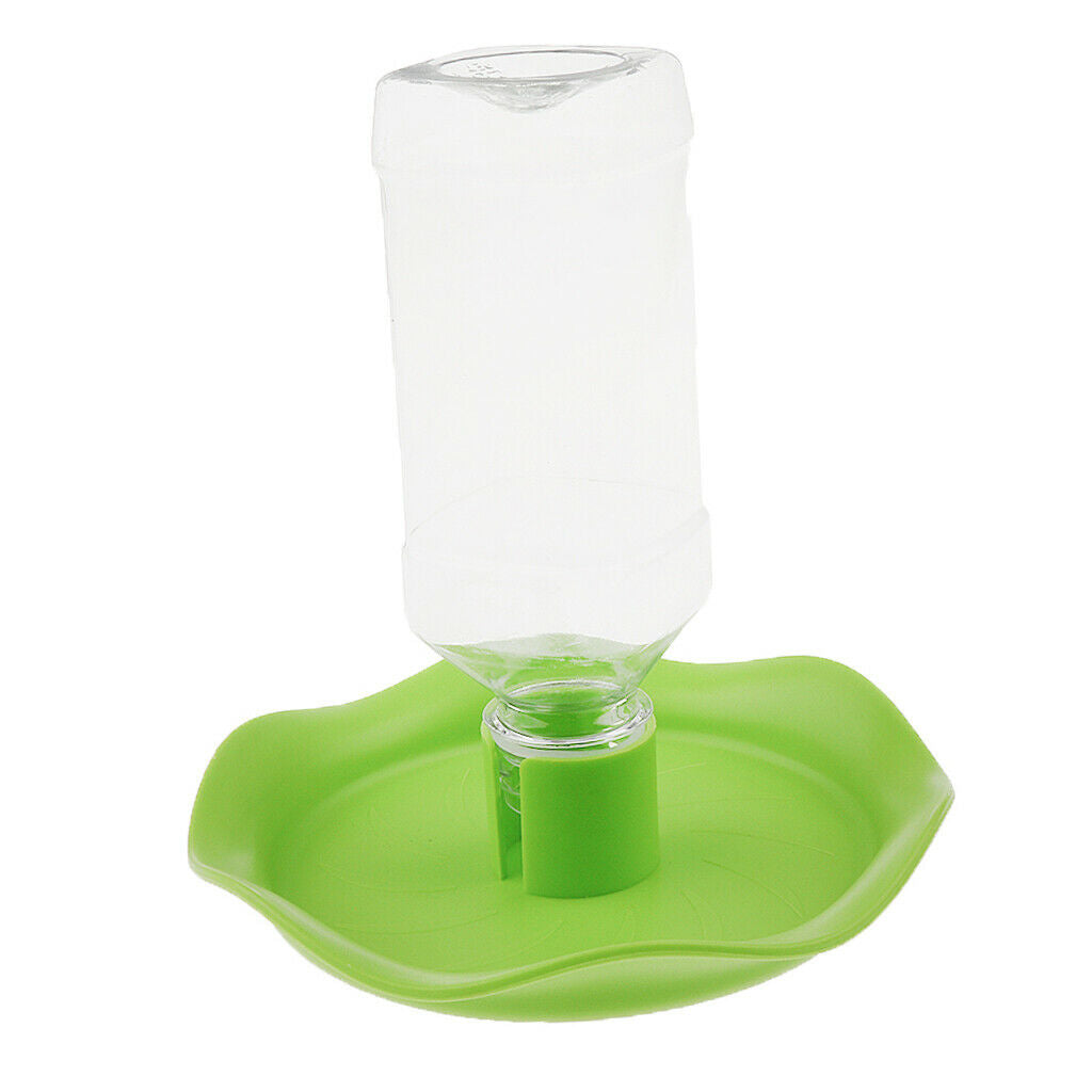 Automatic Water Bowl Container For Reptile Tortoise Spiders Lizard Green