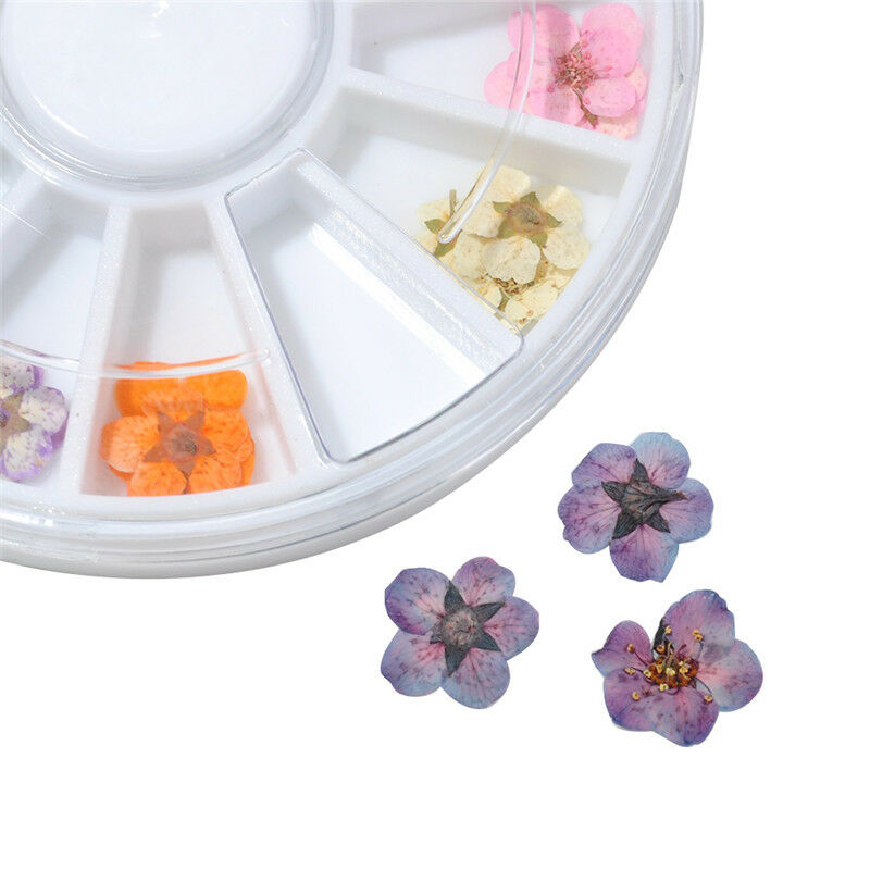 12 Colors Real Dried Flowers Nail Art Decoration DIY Tips Decor Manicure Wheel..