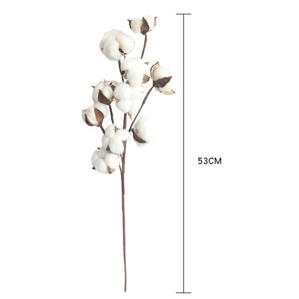 Naturally Dried Cotton Flowers Artificial Plants Wedding Home Decorati.l8