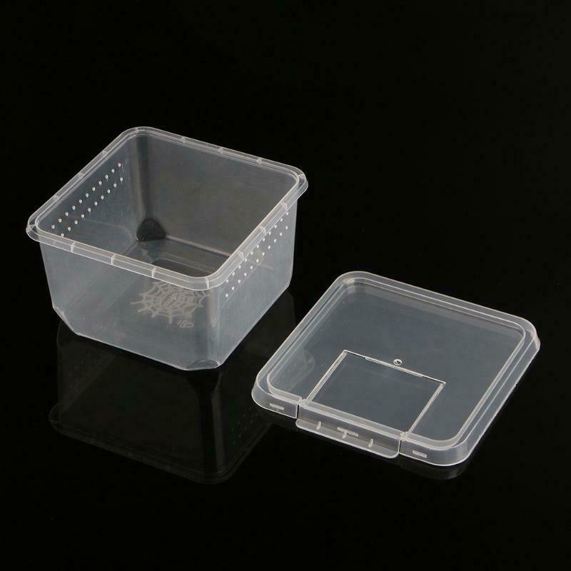 Reptile Terrarium Feeder Breeding Box Tortoise Spider Lizard Beetle Insect House