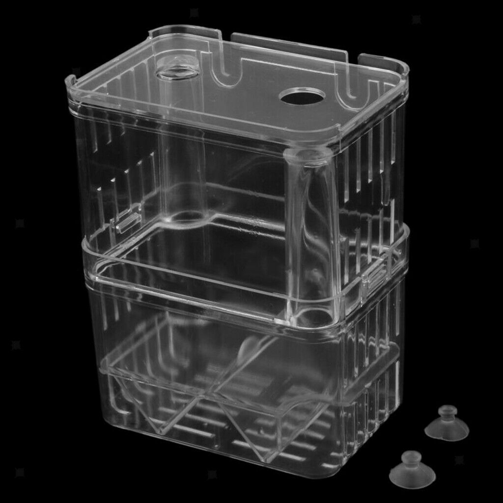 Clear Plastic   Hatchery Isolation Box   Tank Aquarium Incubator Box