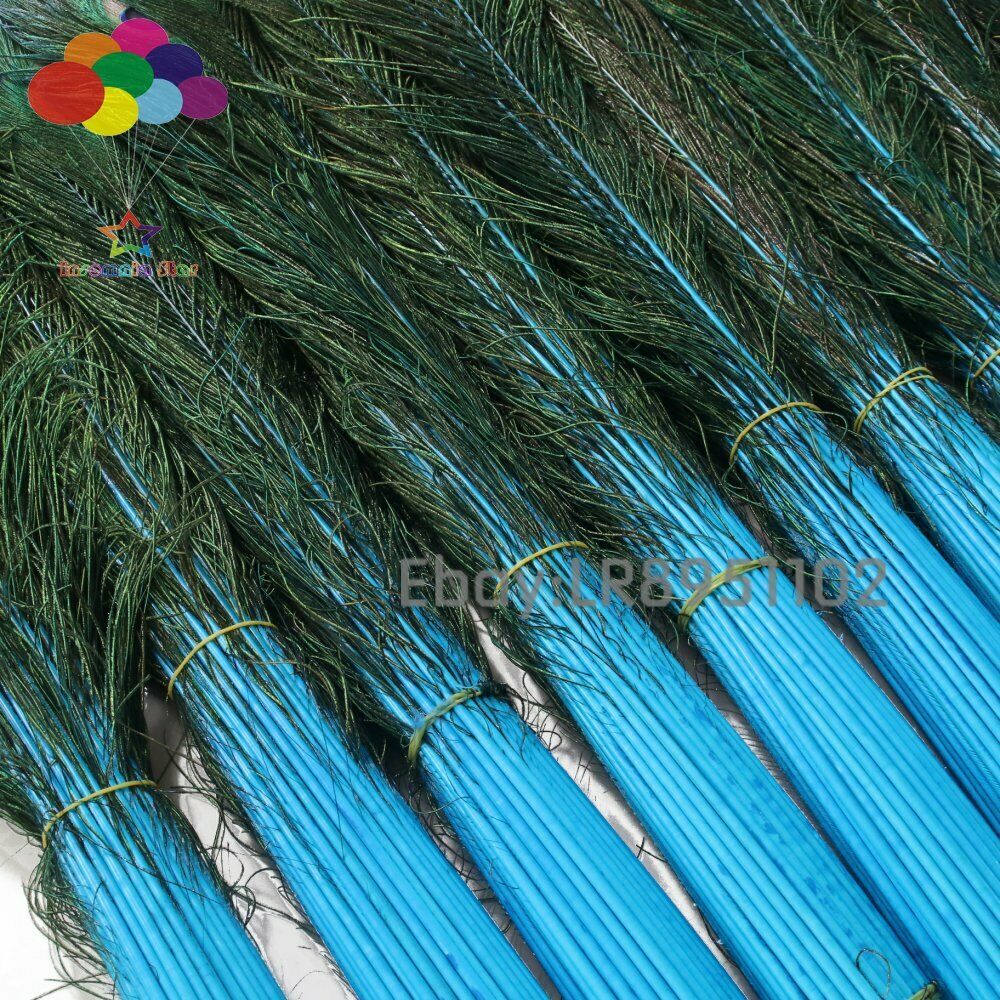 blue lake 100 pcs beautiful Peacock feathers 70-80cm for Crafts DIY weddings