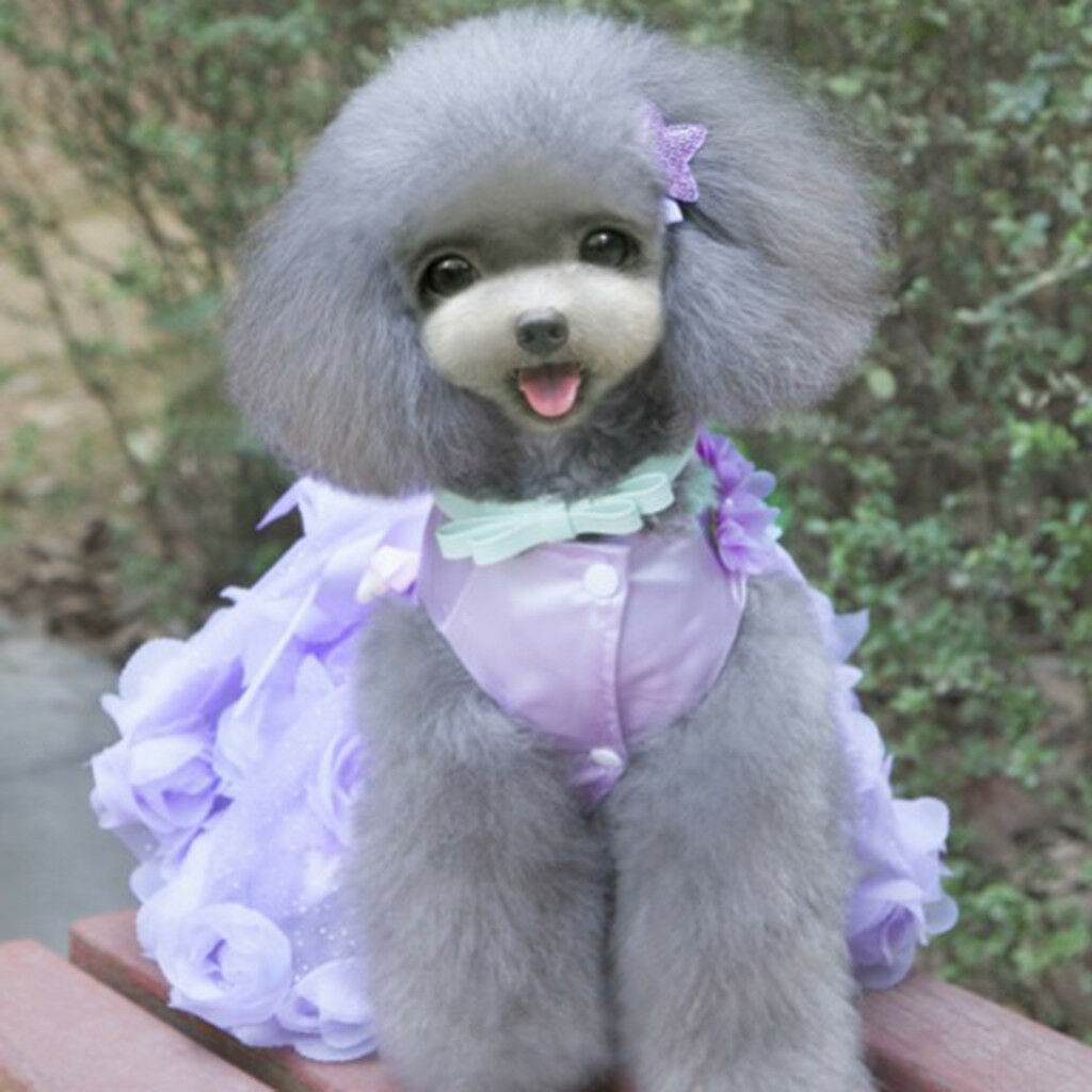 Dog Lace Dress Princess Tutu Skirt Flower Sunday Collection Clothes M Purple