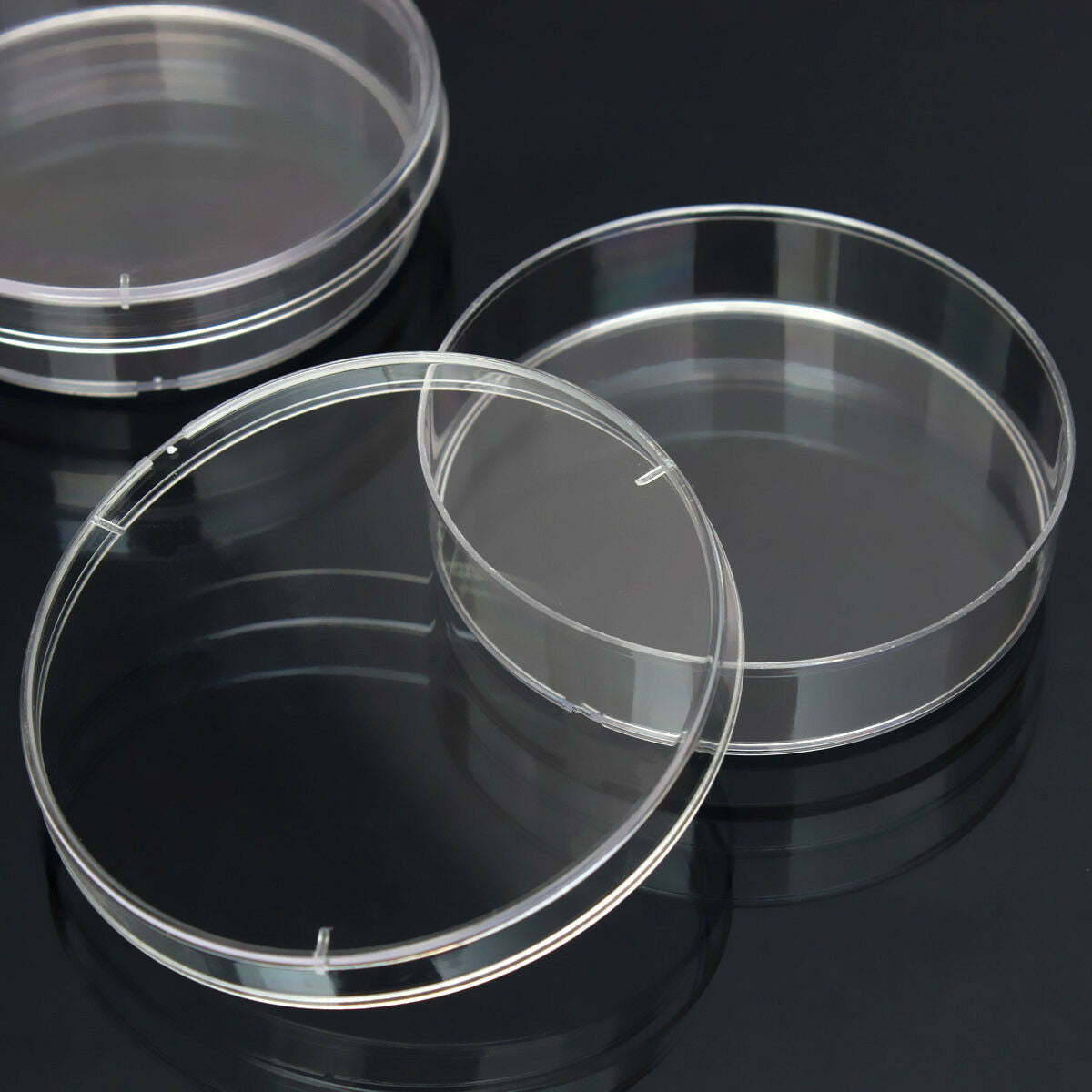 1 Pack Of 10PCS Transparent Sterile Petri Dishes 55 x 15 mm For Lab Plate Yeast