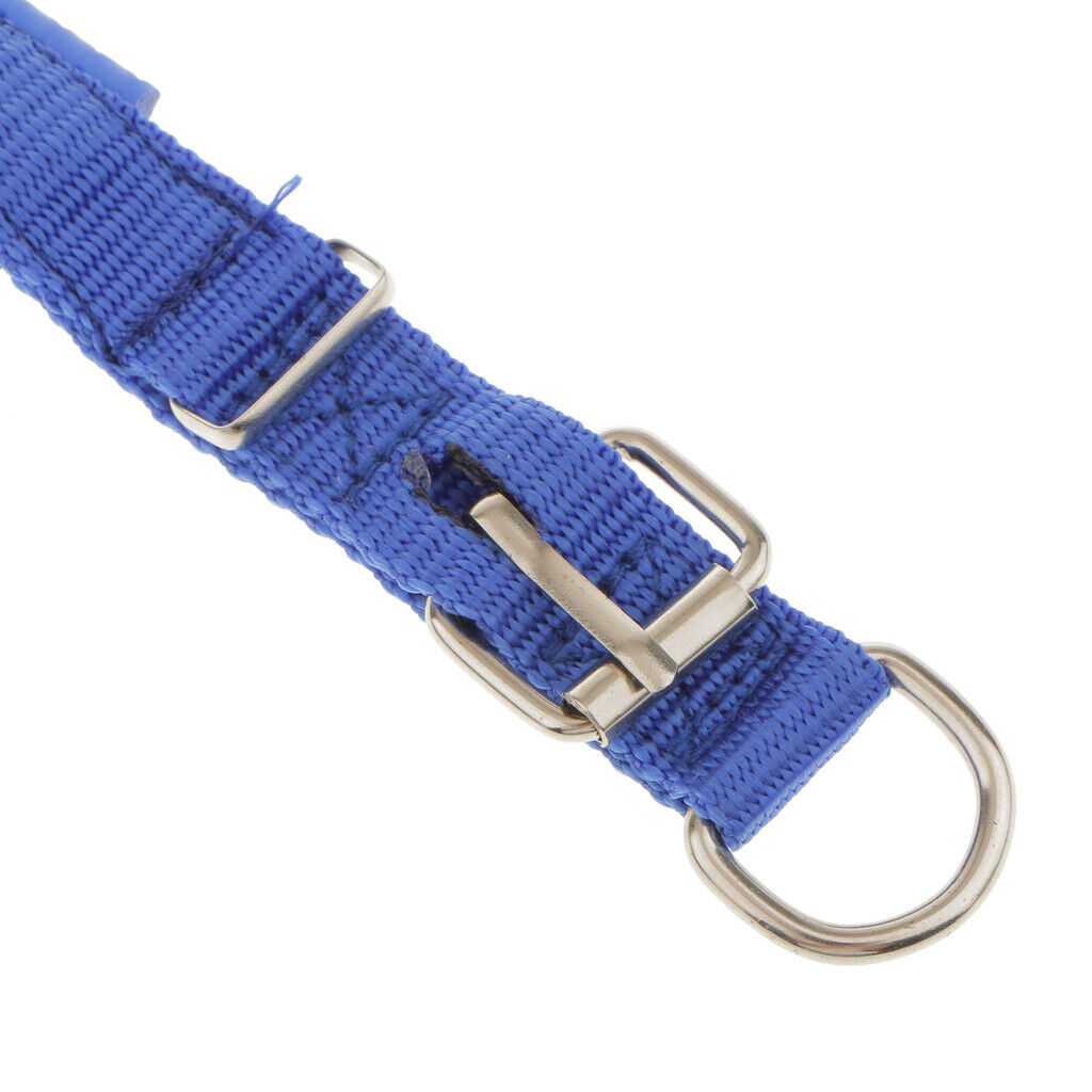 Adjustable Padded Nylon Pet Puppy Dog Basic Collar Safety Neck Strap Blue_S