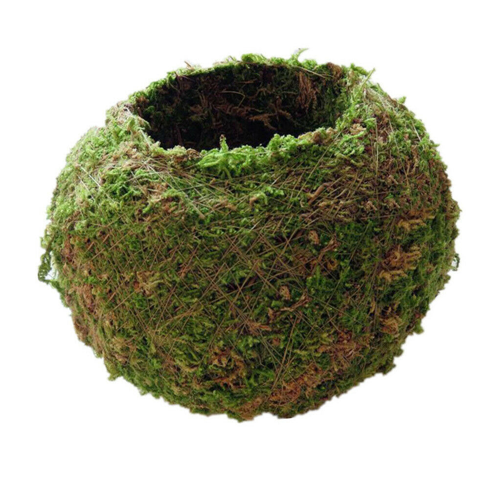 2 Piece Moss Ball Shape Flower Vase Flower Pot, Creative DIY Gardening Potted