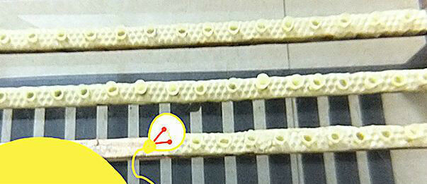 1000pcs Beekeeping Queen Cell Cups Royal Jelly Cups Queen Rearing Equip
