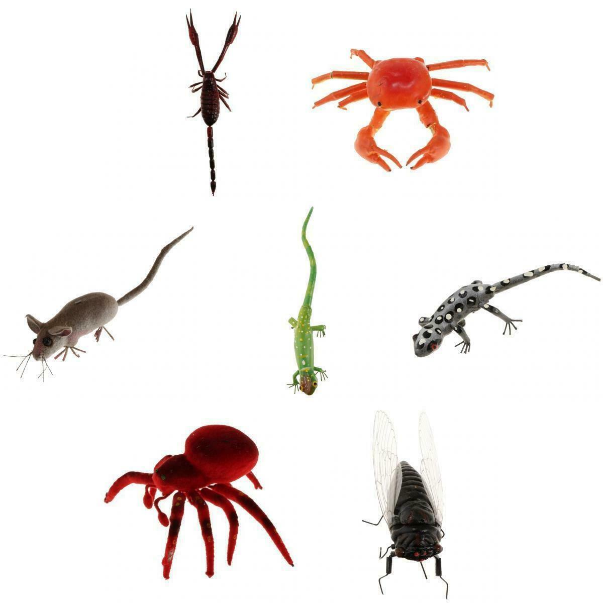 7Pieces Animal Toys Educational Resource High Simulation Reallistic Insects