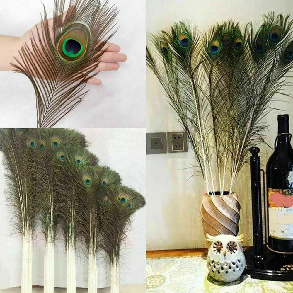 10Pcs PEACOCK TAIL FEATHERS Feather NATURAL 26cm LONG Bouquet MILLINERY CRAFTS